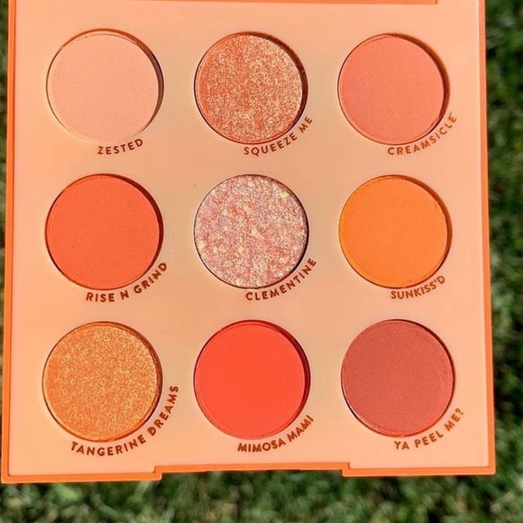 ColourPop Orange You Glad Eyeshadow Palette BNIB - Picture 8 of 13